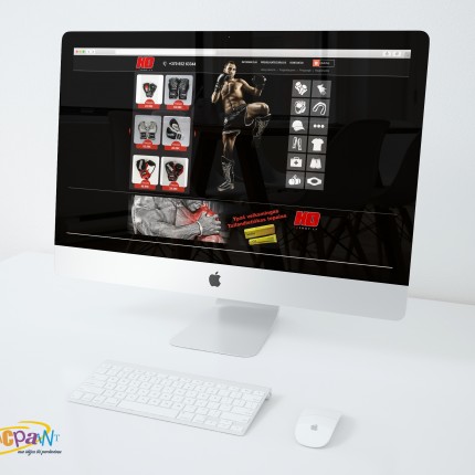 web kurimas