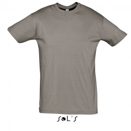 REGENT-11380_zinc_A