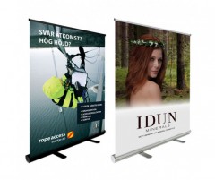 rollup-expo150x200-2-700x587