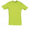 REGENT-11380_apple_green_A