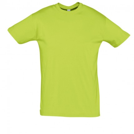 REGENT-11380_apple_green_A