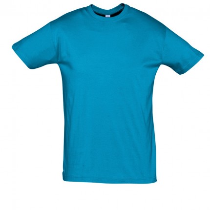 REGENT-11380_aqua_A