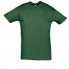 REGENT-11380_bottle_green_A