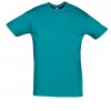 REGENT-11380_duck_blue_A