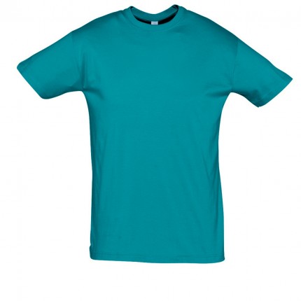 REGENT-11380_duck_blue_A