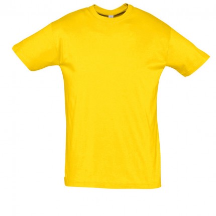 REGENT-11380_gold_A