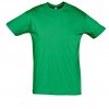 REGENT-11380_kelly_green_A