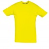 REGENT-11380_lemon_A