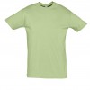 REGENT-11380_lime_A