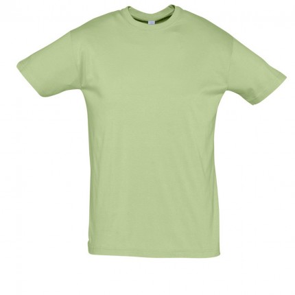 REGENT-11380_lime_A