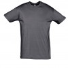REGENT-11380_mouse_grey_A