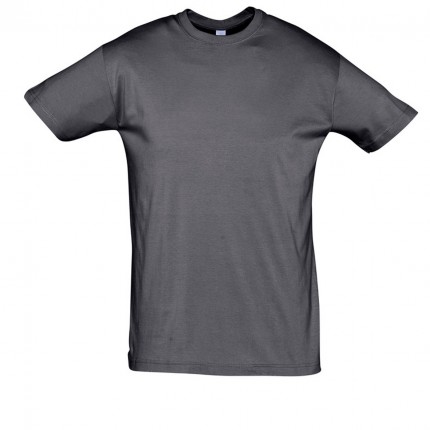 REGENT-11380_mouse_grey_A