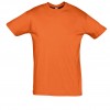 REGENT-11380_orange_A