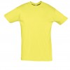 REGENT-11380_pale_yellow_A