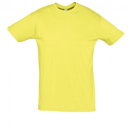 REGENT-11380_pale_yellow_A