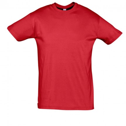 REGENT-11380_red_A