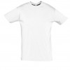 REGENT-11380_white_A