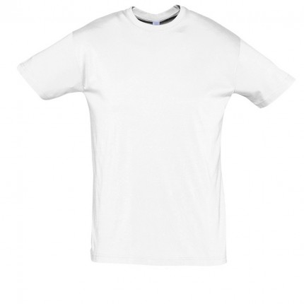 REGENT-11380_white_A