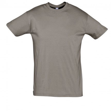 REGENT-11380_zinc_A