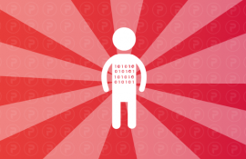 pp dizainai_web programuotojas