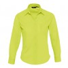 EXECUTIVE-16060_apple_green_A