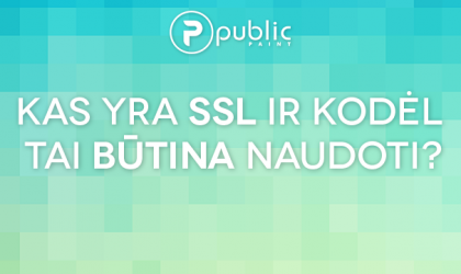 SSL_sertifikatas_Public_Paint