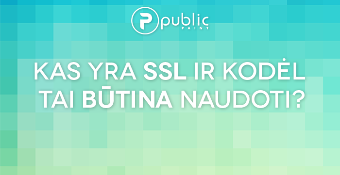 SSL_sertifikatas_Public_Paint